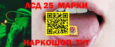 мдпв Кимры