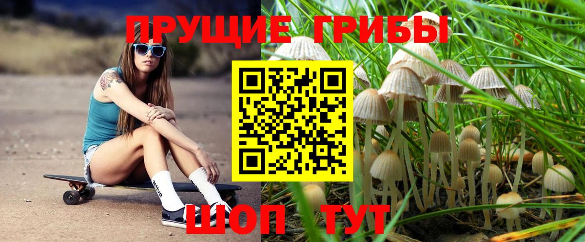 Галлюциногенные грибы Psilocybine cubensis  Вход с VPN  Янаул 
